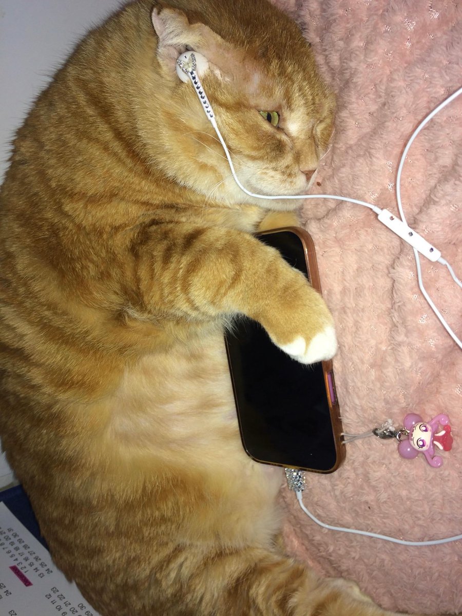 김냄비 tweet media