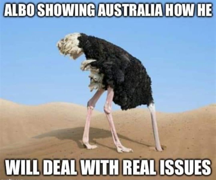 Born Under the Southern Cross tweet media