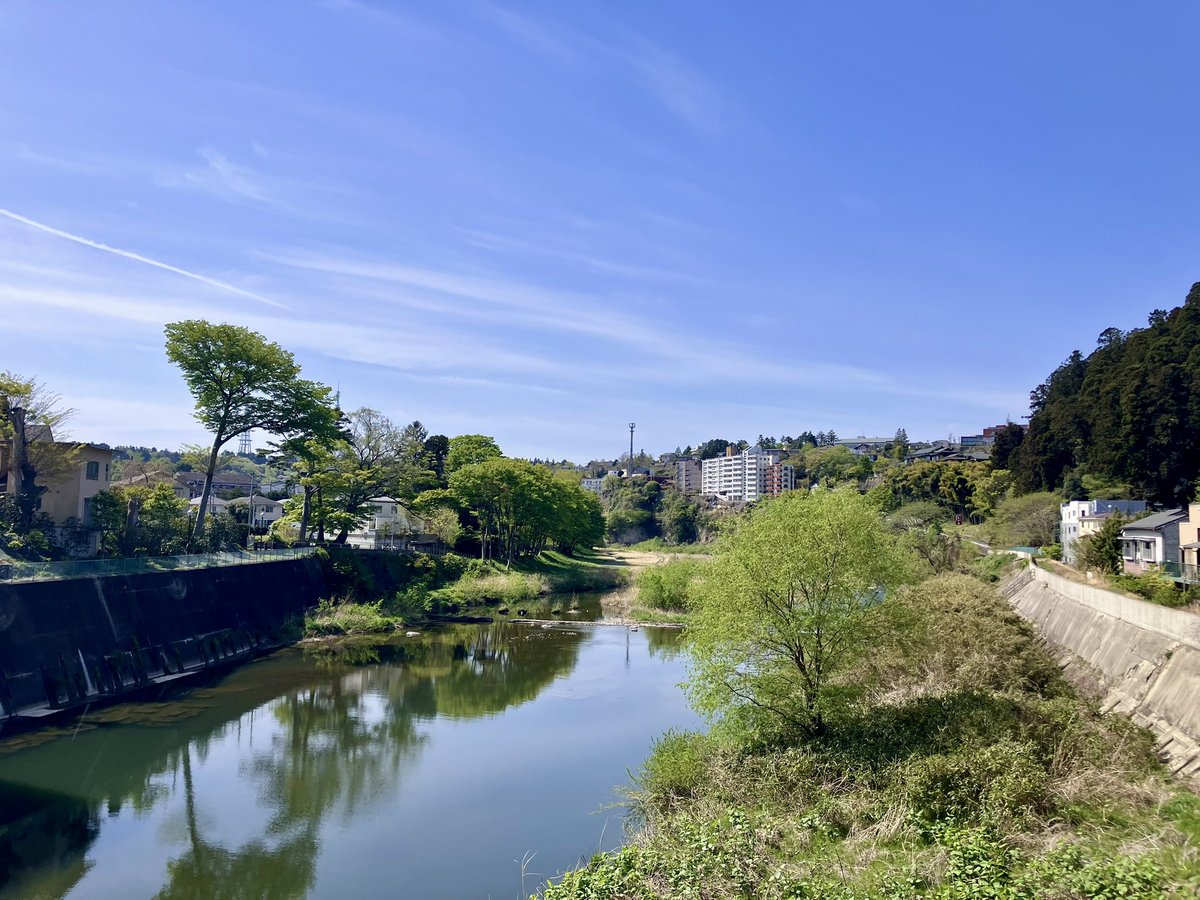 jungo_nosomaru's tweet photo. せっかく杜の都に住んでいるんだ。花見シーズンが終わっても「青見」を提案したい。＃広瀬川 にかかる霊屋橋（おたまやばし）からの新緑。 https://t.co/3FUYxk3sj8