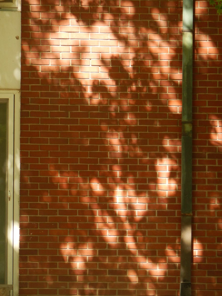 두마출 tweet media