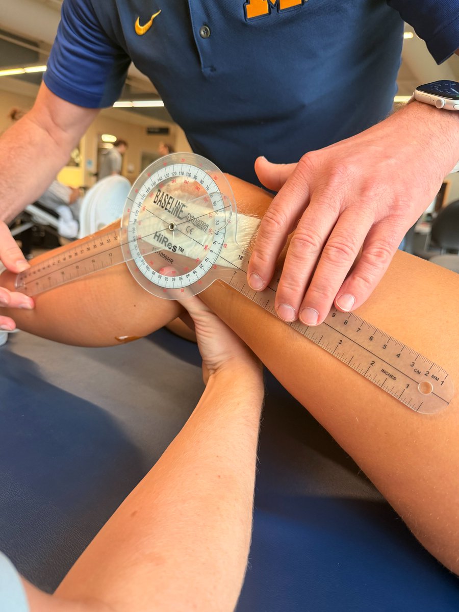 Sophia Rose Schaeffer tweet media