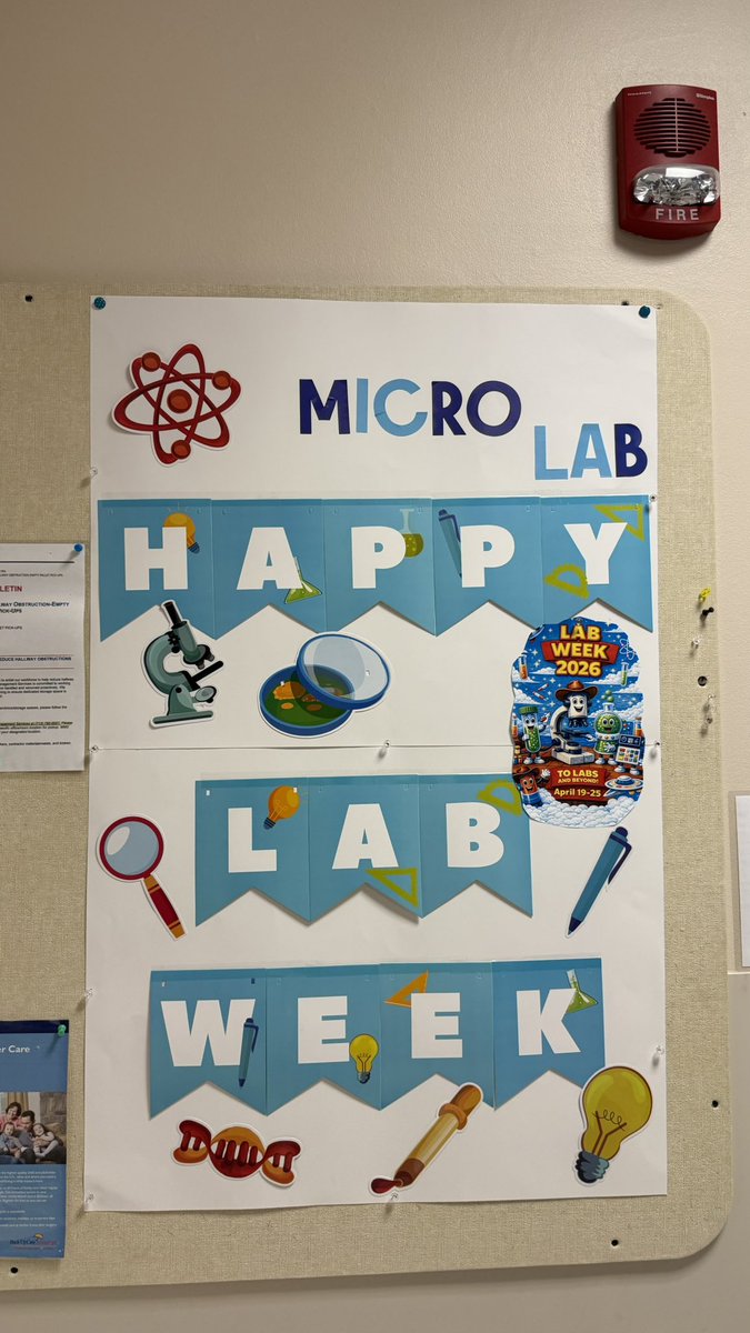 MBetaqui's tweet photo. I really enjoy so much our professional week #labweek2026.. this year was about Lab story…we had games, goodies, puzzels, so much food …so grateful for working in what I enjoy… hope everyone had a great week too 🥳🎉 🧫🔬💊 https://t.co/YzaWg90Jm3