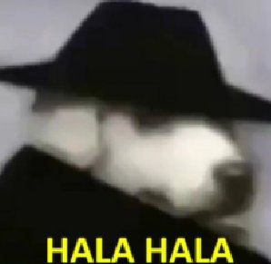 Vcs não fazem ideia das loucuras que eu posso cometer pra ver esses 8 piratas gays anarquistas