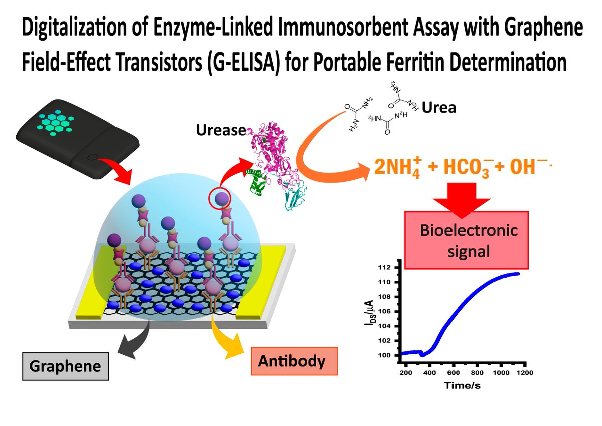 Biosensors_MDPI's tweet photo. 📣Call for Reading:
#Article
Digitalization of Enzyme-Linked Immunosorbent Assay with Graphene Field-Effect Transistors (G-ELISA) for Portable Ferritin Determination
By Melody L. Candia, et al.
https://t.co/gbT4k5wIZz
#bioelectronic #immunosensing #ELISA #biosensor https://t.co/VKY4YlHSqP