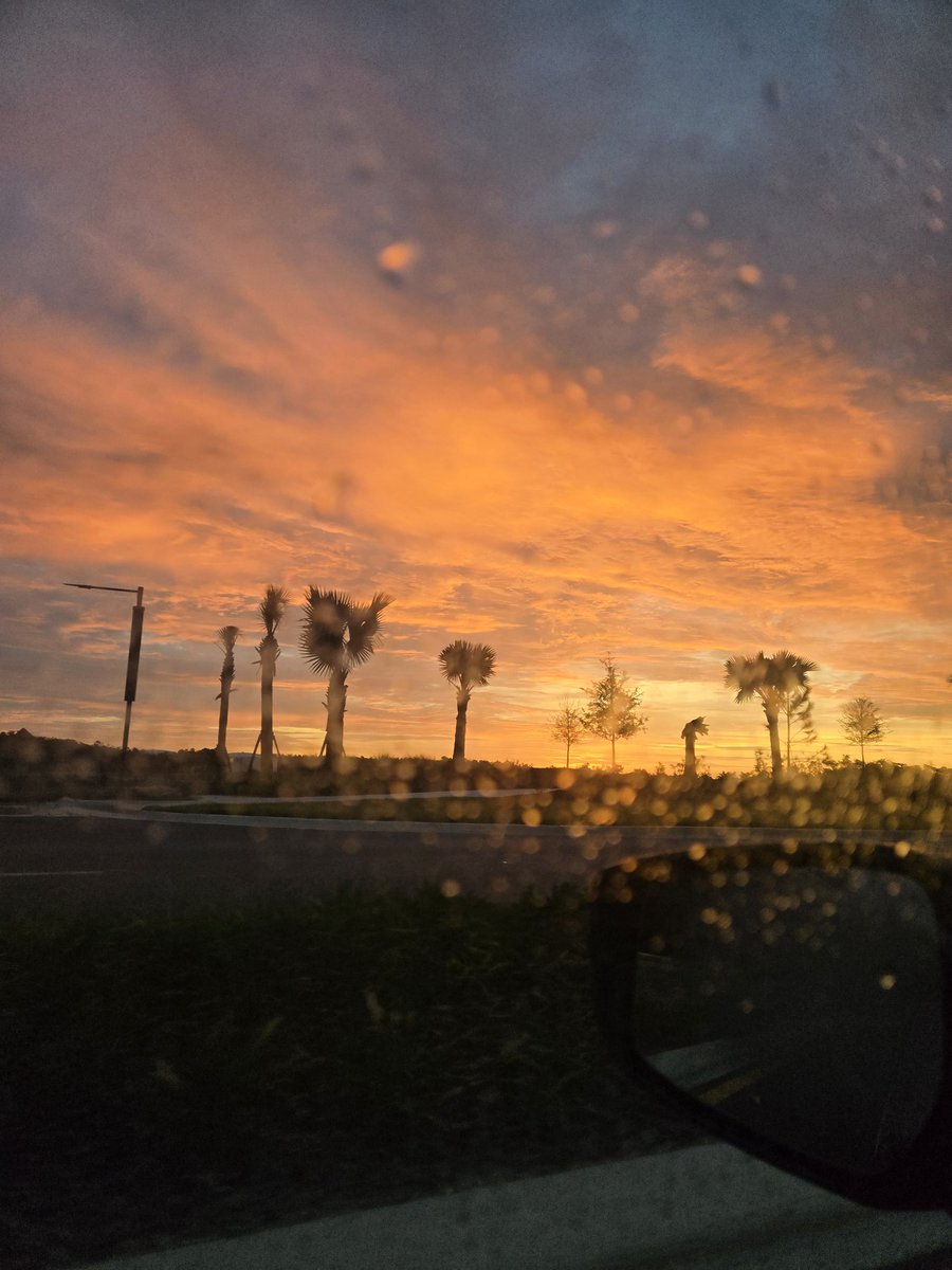 Soul🌙 tweet media