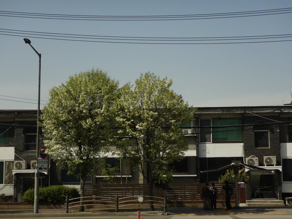 두마출 tweet media