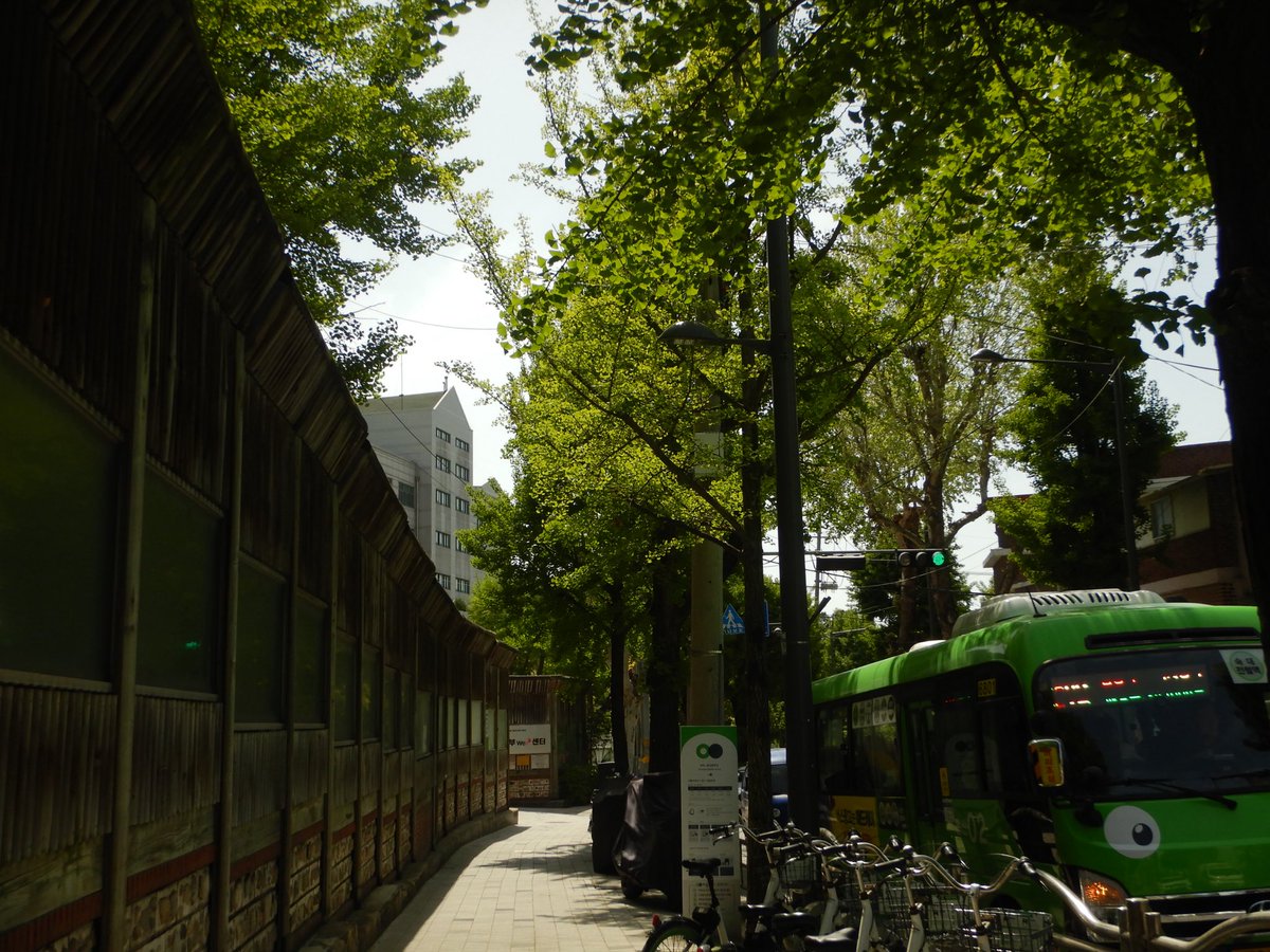 두마출 tweet media