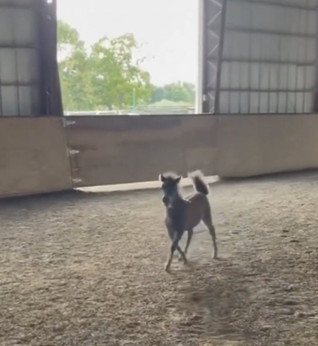 MARJIMALS tweet media