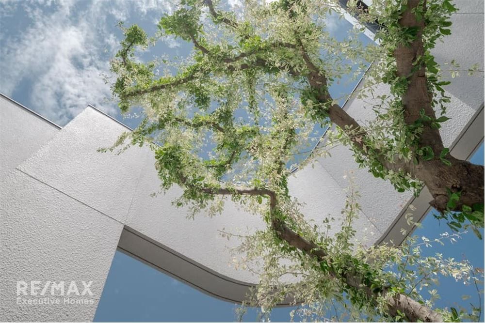 Architectural masterpiece in Sathon – 79M Baht! 🌟 Spacious 3BR, garden, modern kitchen. Near BTS! #Bangkok #LuxuryLiving #NewHome #Sathon #RealEstate
Ref: 920071001-14503 Contact: Youme Youme@Executive-Homes.biz +66 81 823 0785 
                f.mtr.cool/xxjepwgton