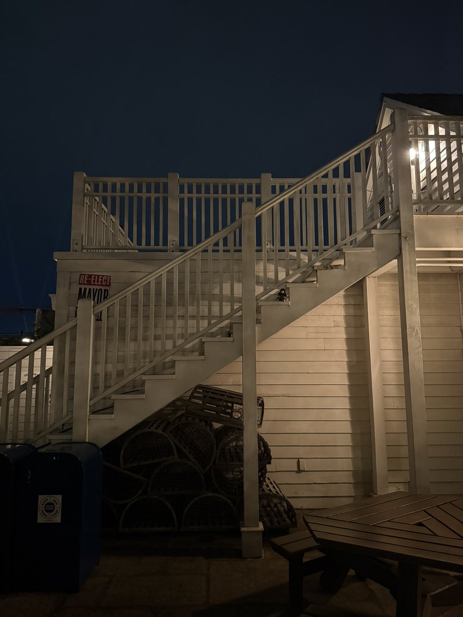 ともんが🌎🦈🦖🍌✨️ tweet media