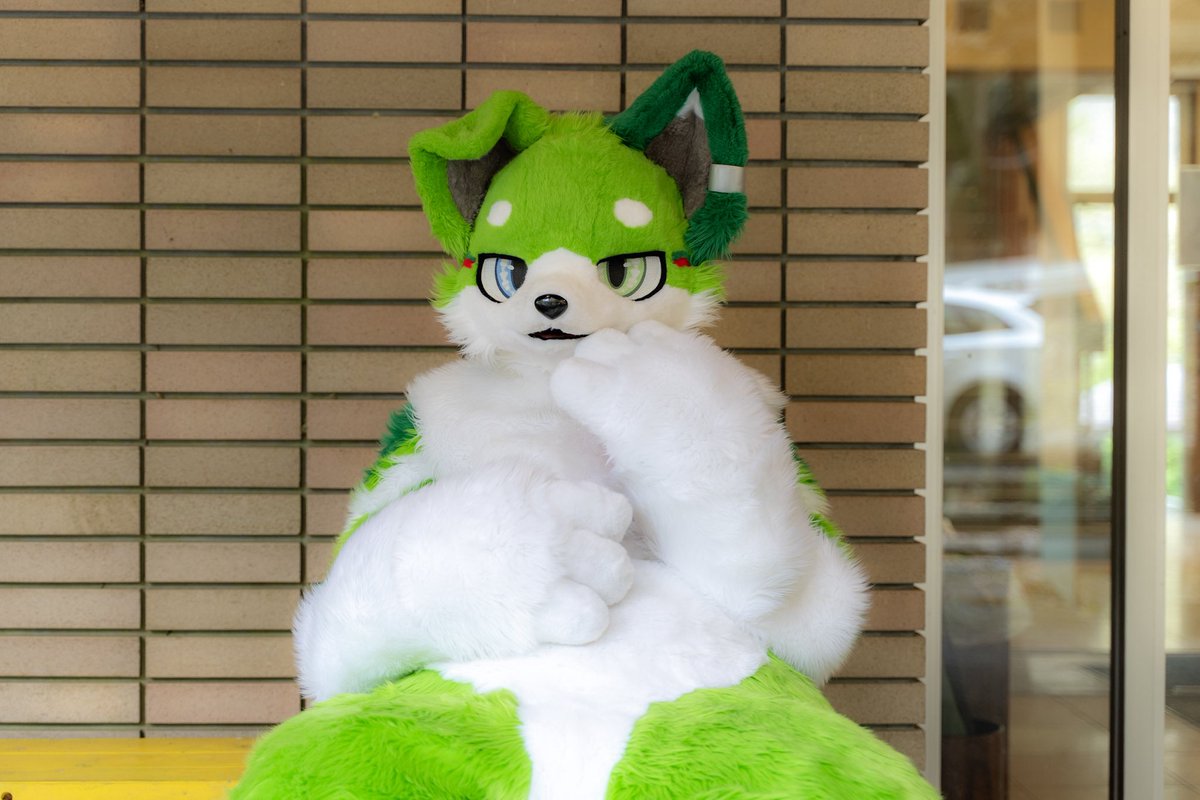 #FursuitFriday
🟢💬