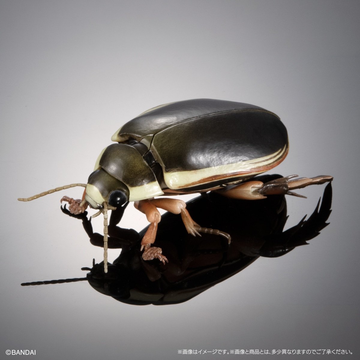 D0M0o0's tweet photo. いきもの大図鑑アドバンス水生昆虫02　ゲンゴロウ　交換希望です！

譲・ナミゲンゴロウ -メス(あげる)
複数交換歓迎

求・ナミゲンゴロウ -オス(欲しい)

よろしくお願いします。 https://t.co/b0bKycqkaV