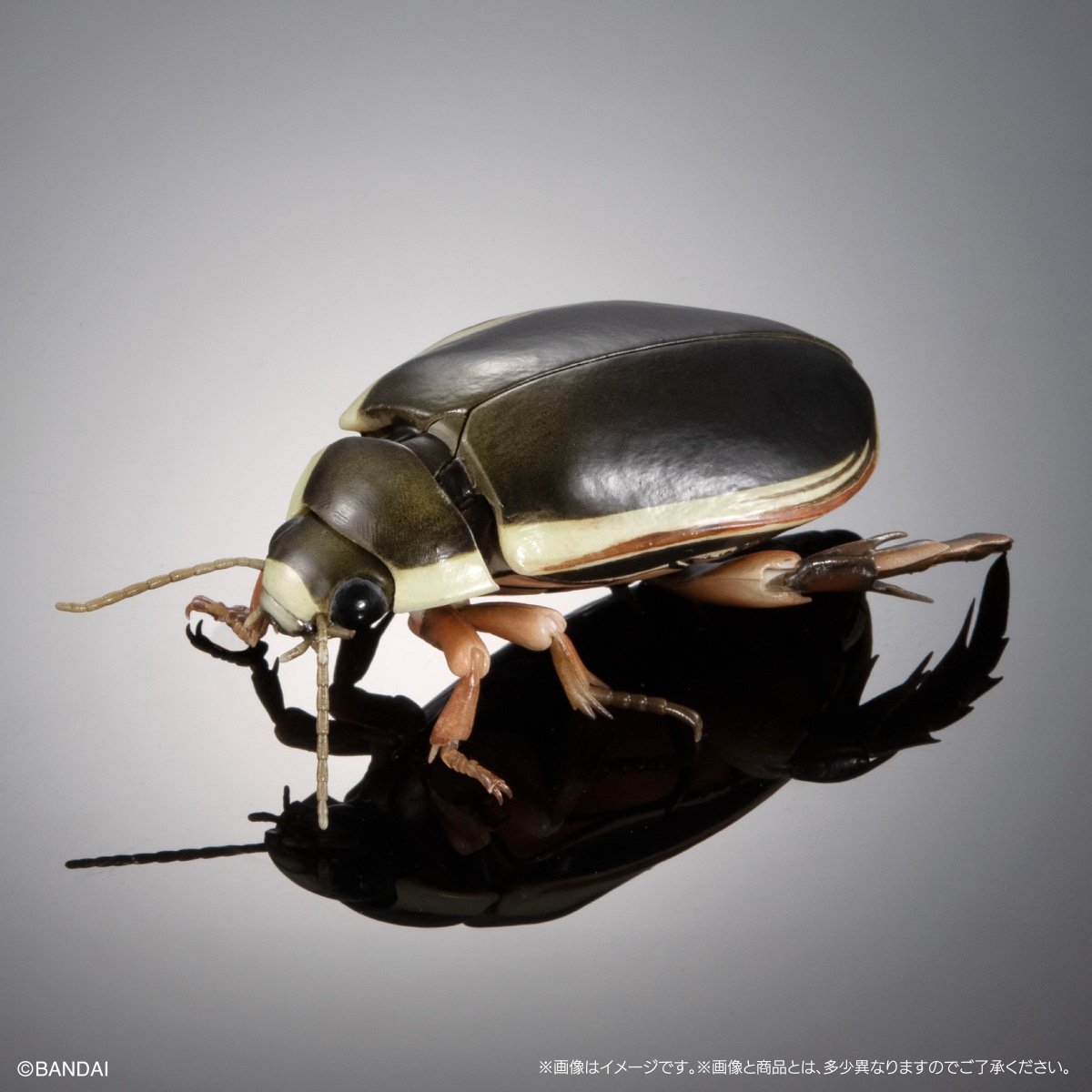 D0M0o0's tweet photo. いきもの大図鑑アドバンス水生昆虫02　ゲンゴロウ　交換希望です！

譲・ナミゲンゴロウ -メス(あげる)
複数交換歓迎

求・ナミゲンゴロウ -オス(欲しい)

よろしくお願いします。 https://t.co/b0bKycqkaV