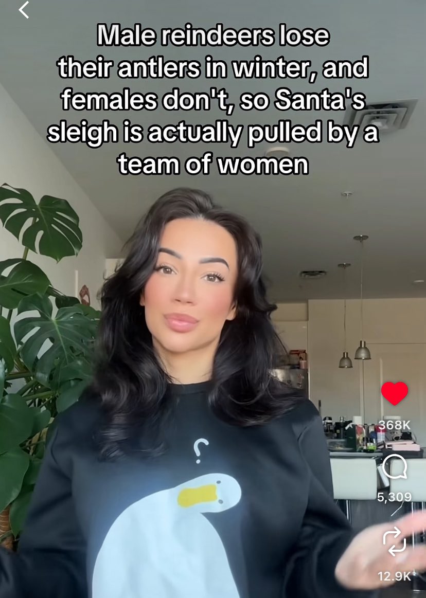 BlackSword tweet media