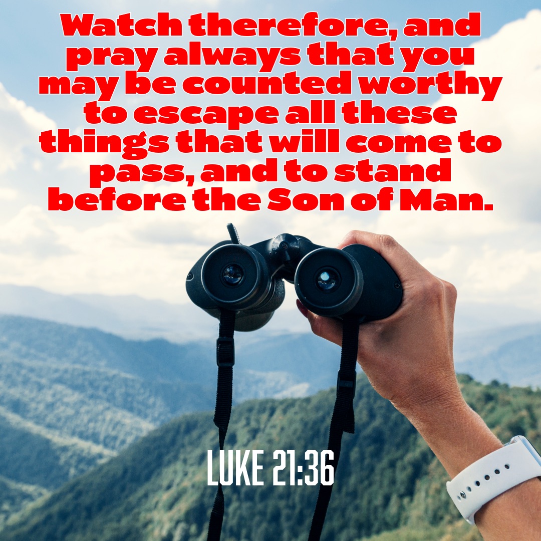 tweets_mb's tweet image. 🙏

#Pray #Worthy #Escape #SonOfMan
