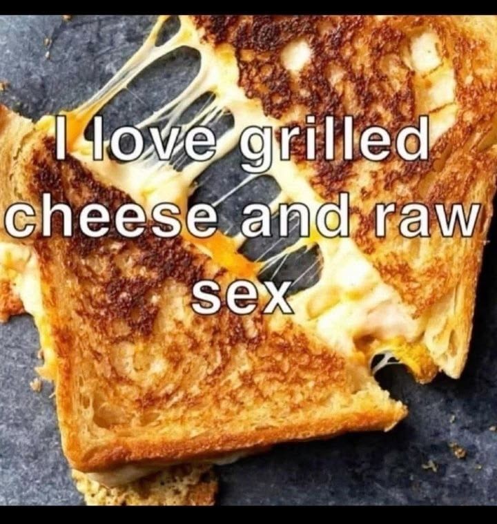 horse dentist (@equine__dentist) on Twitter photo 