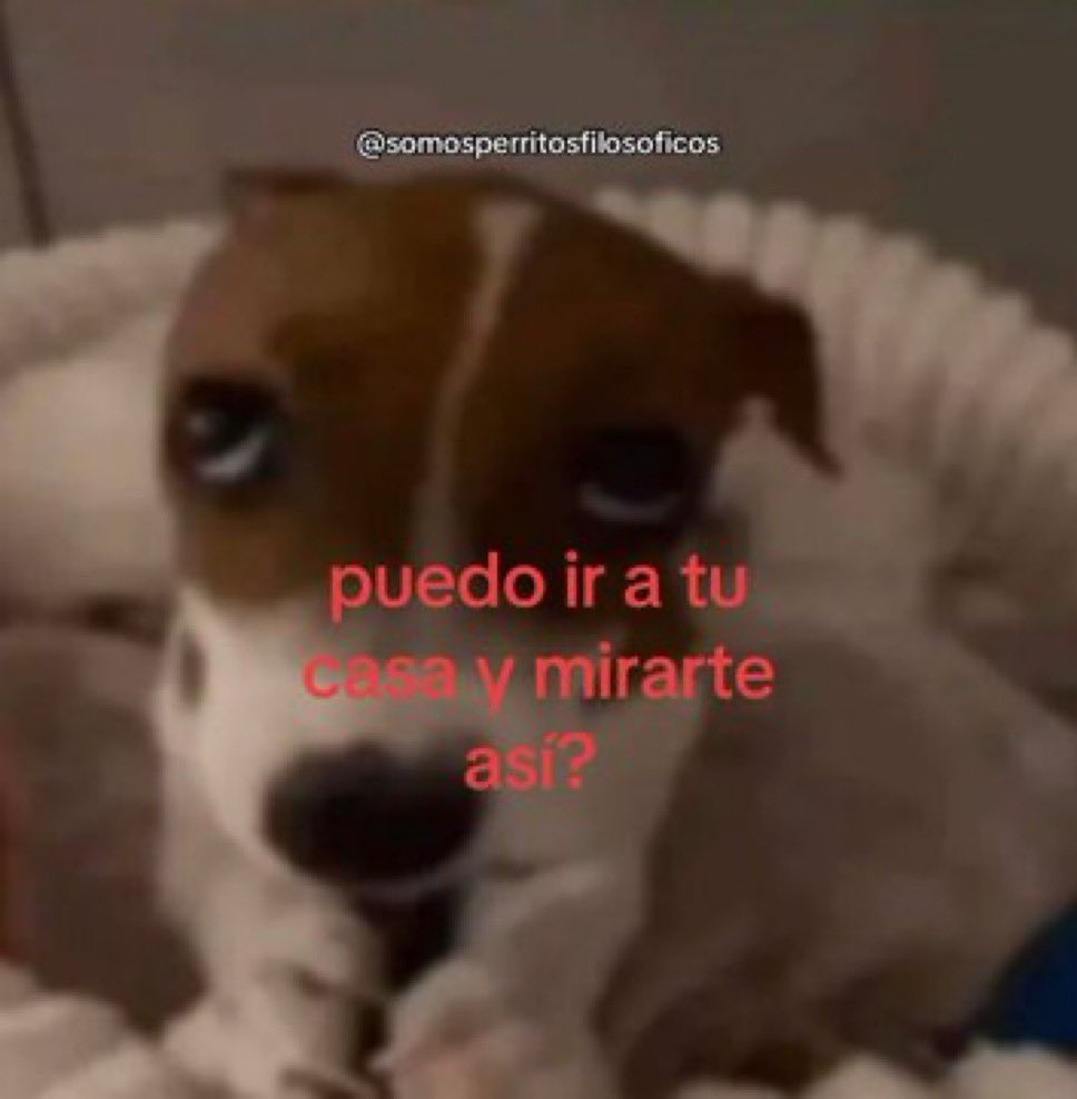 ele comprou um fardo de coca-cola pra sempre ter quando eu for na casa dele <3