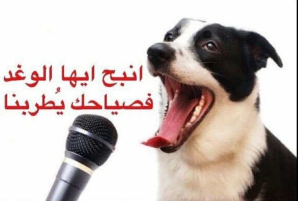 timoon1399's tweet photo. @mm2710922 هههههههههههههههاي في المشمش عاصمة القرار في المكان اللي دول الخليج تحدده https://t.co/KA2wuyPGBa