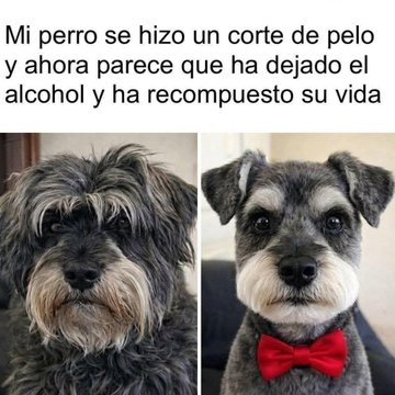 Pensamientos tweet media
