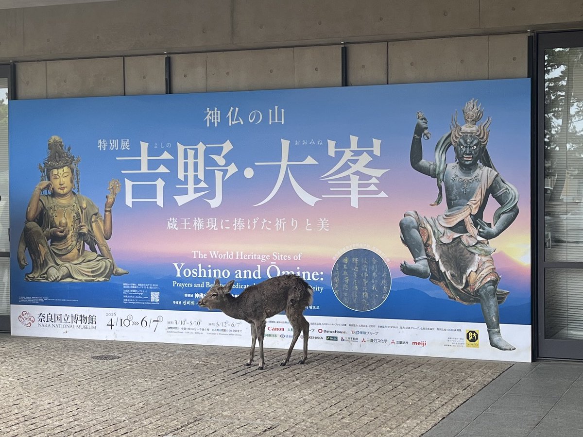 宇陀 直紀 tweet media