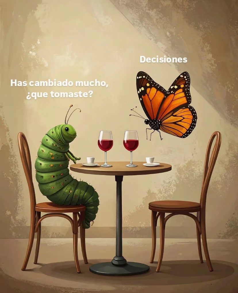 InfoAgronomo's tweet photo. Decisiones https://t.co/eMtaz3HmMG