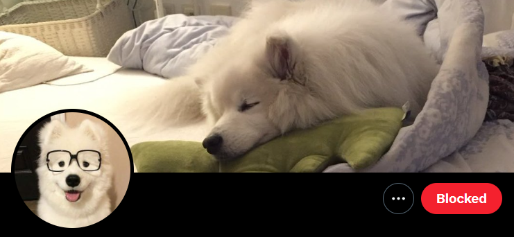 ribbonmaw's tweet image. #BYE #iykyk