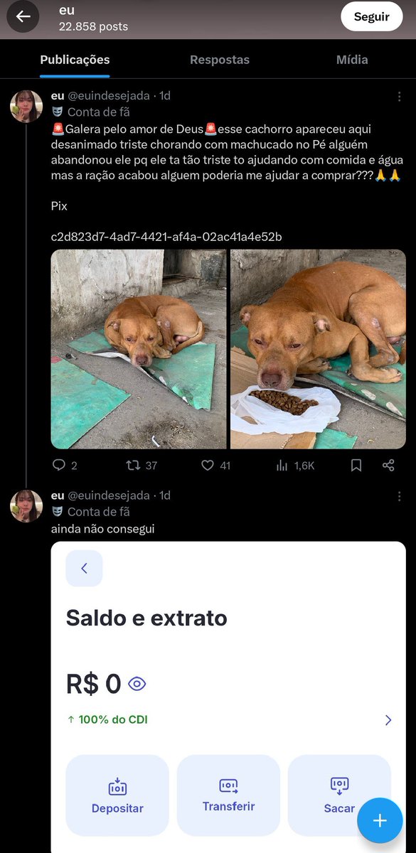sophia tweet media