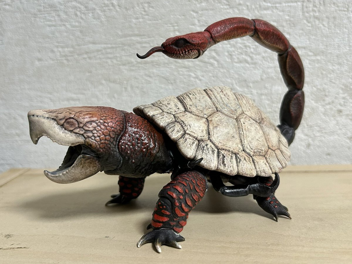 nao70shark tweet media