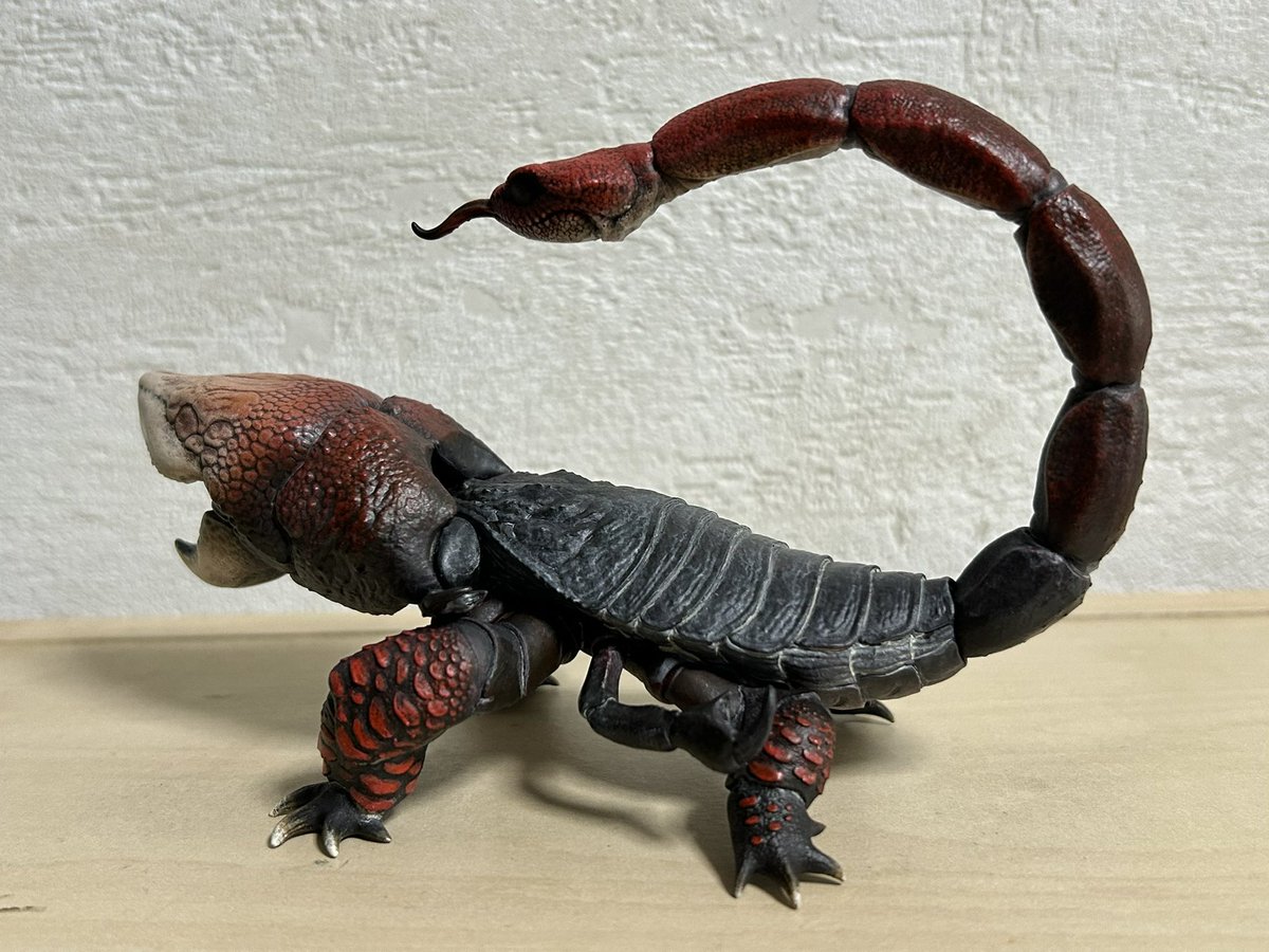 nao70shark tweet media