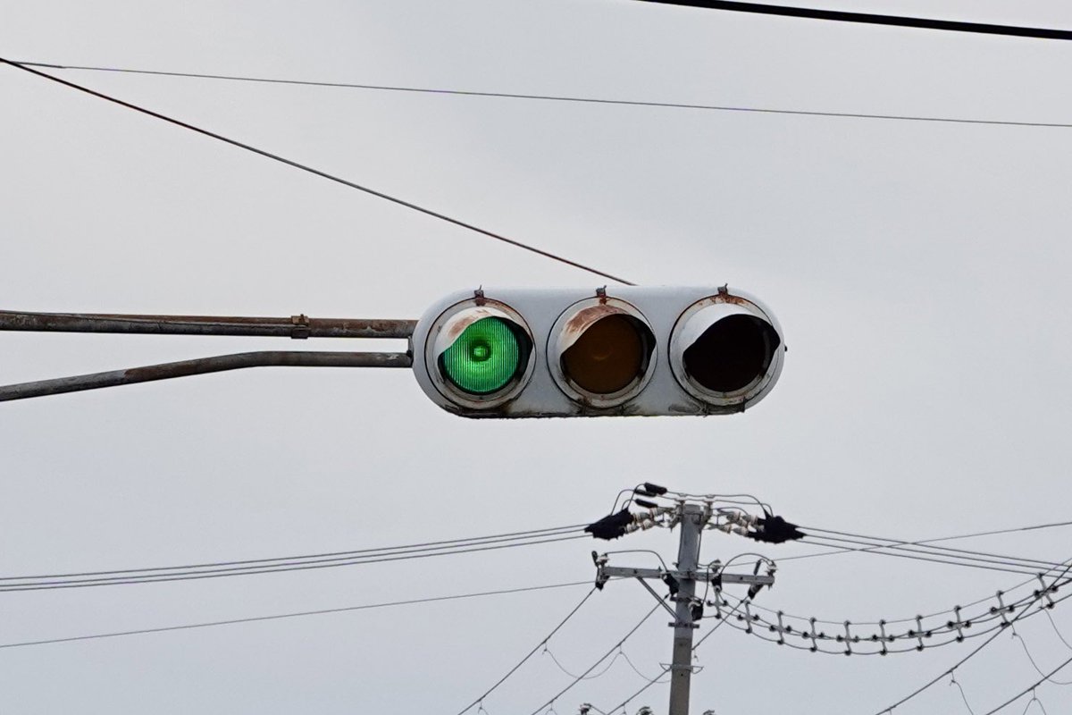 もちだんご tweet media