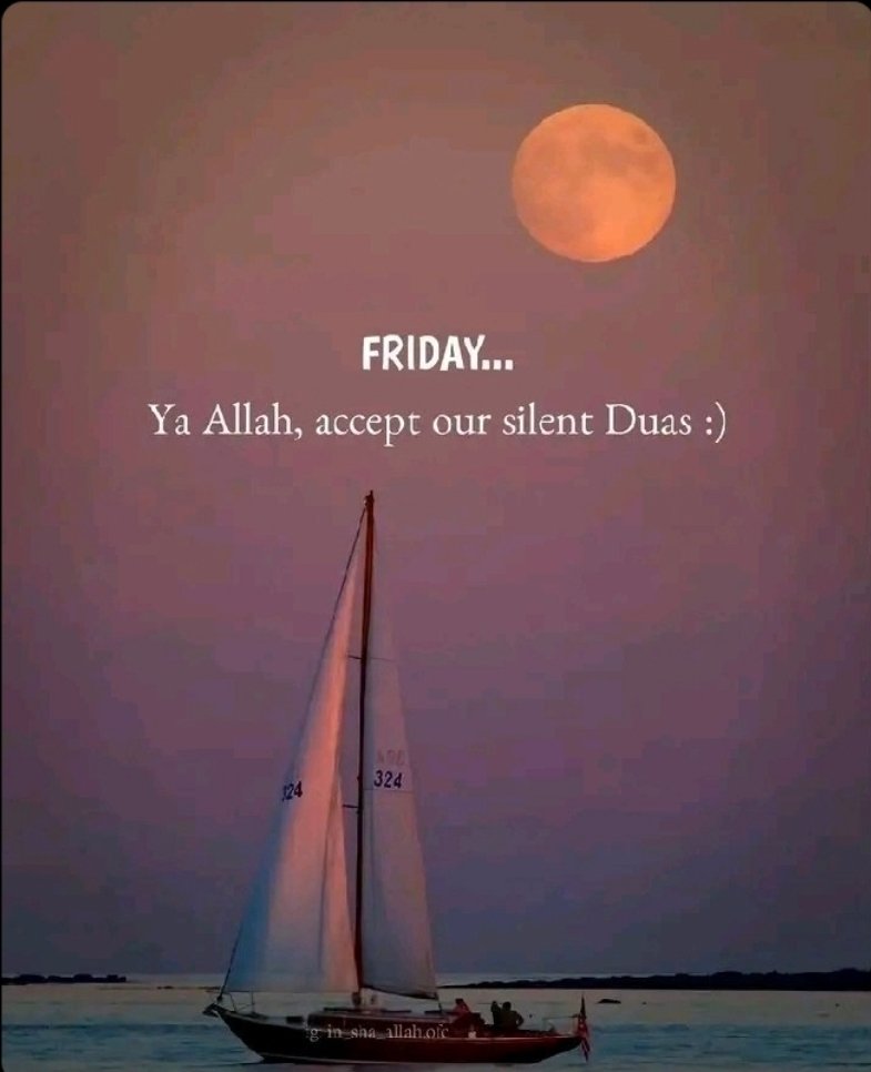 ⚓𝐌𝐀𝐑𝐈𝐍𝐄 🎣 𝐏𝐋𝐔𝐆⛵⚫🟡🔴⚪ tweet media