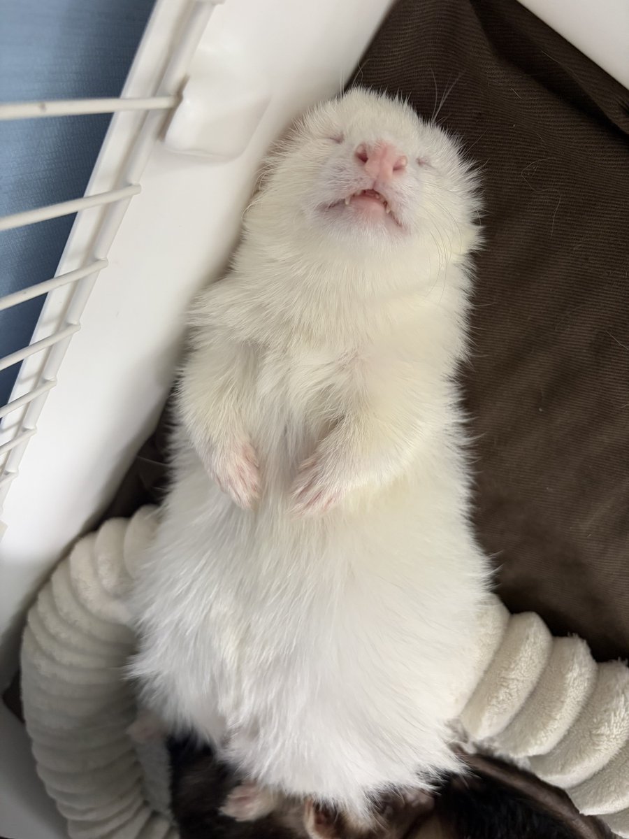 eri🌝𝕏 tweet media