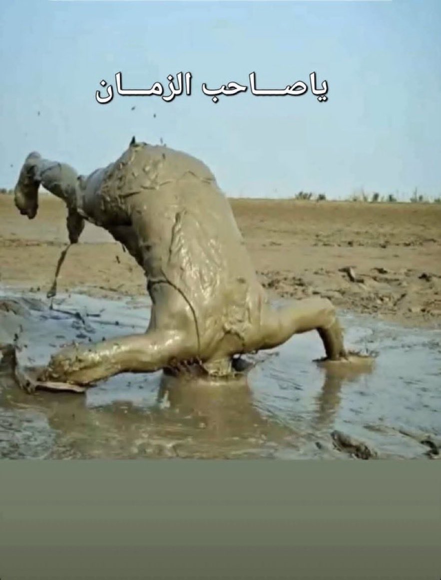 عبدالله tweet media