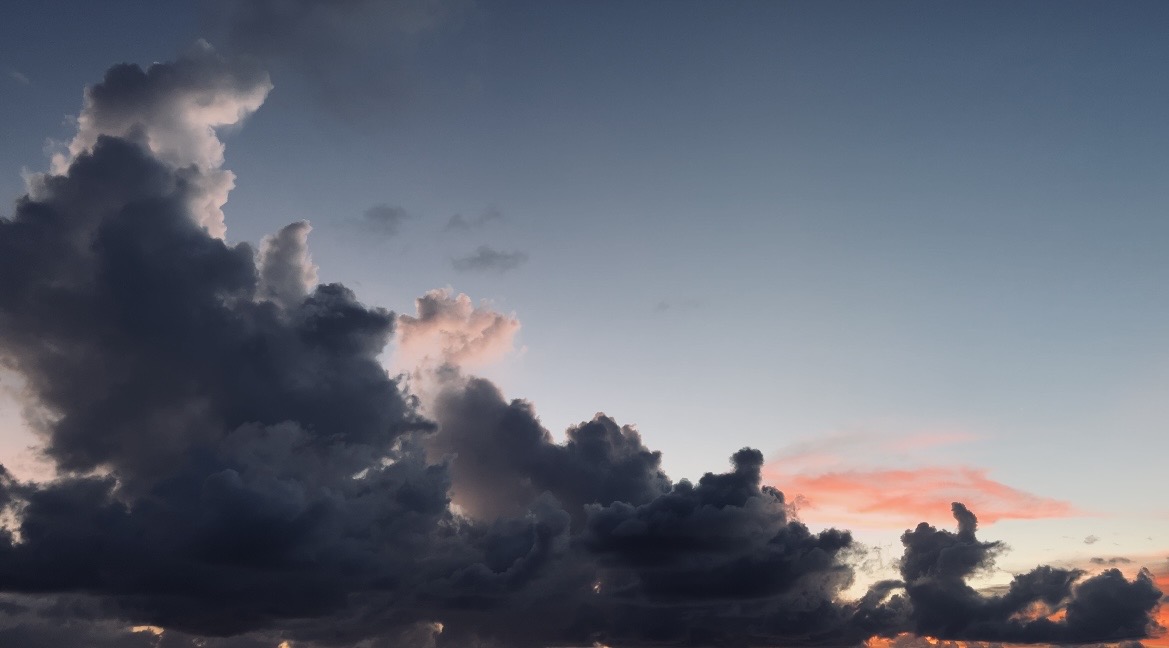 Alpharynn Arlesia tweet media