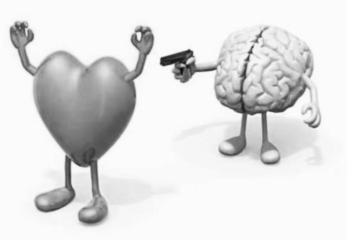 ليلى tweet media