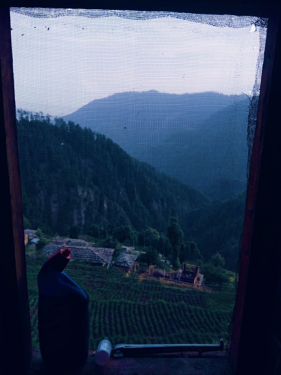 Frozen ibex tweet media