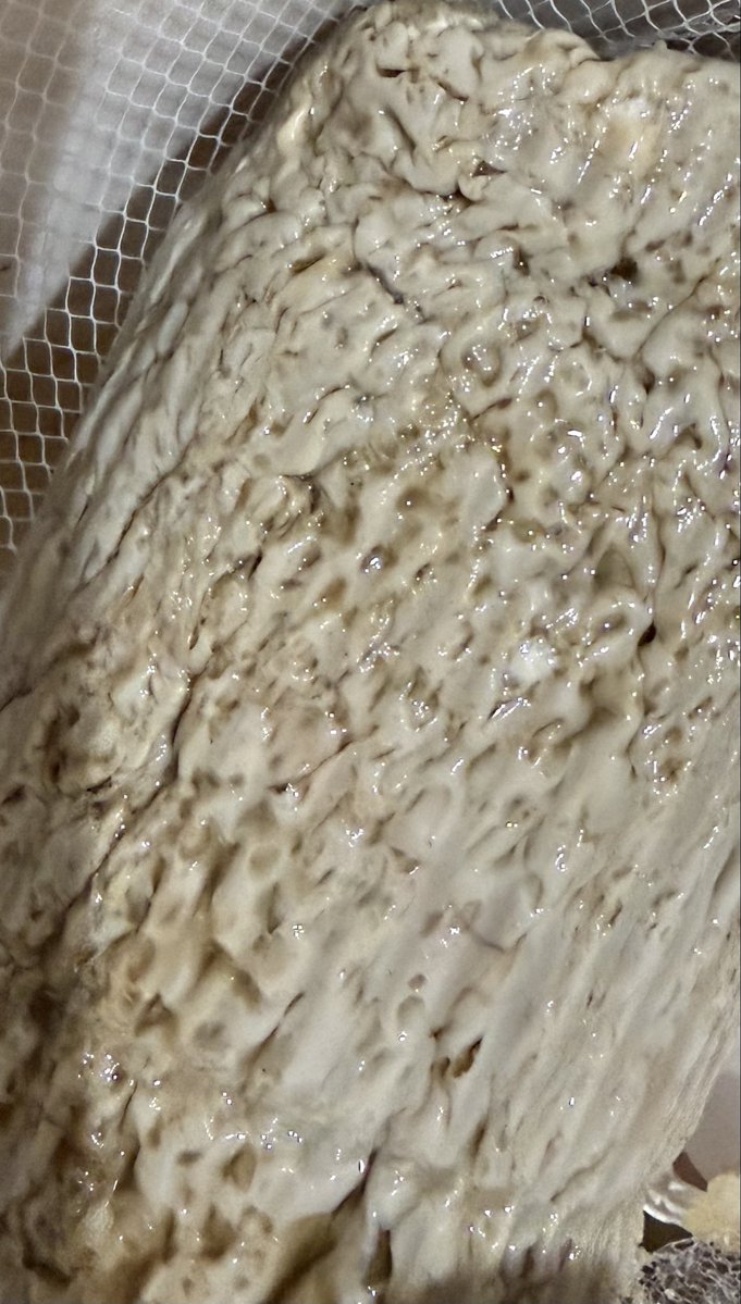 都城出身❤️ tweet media