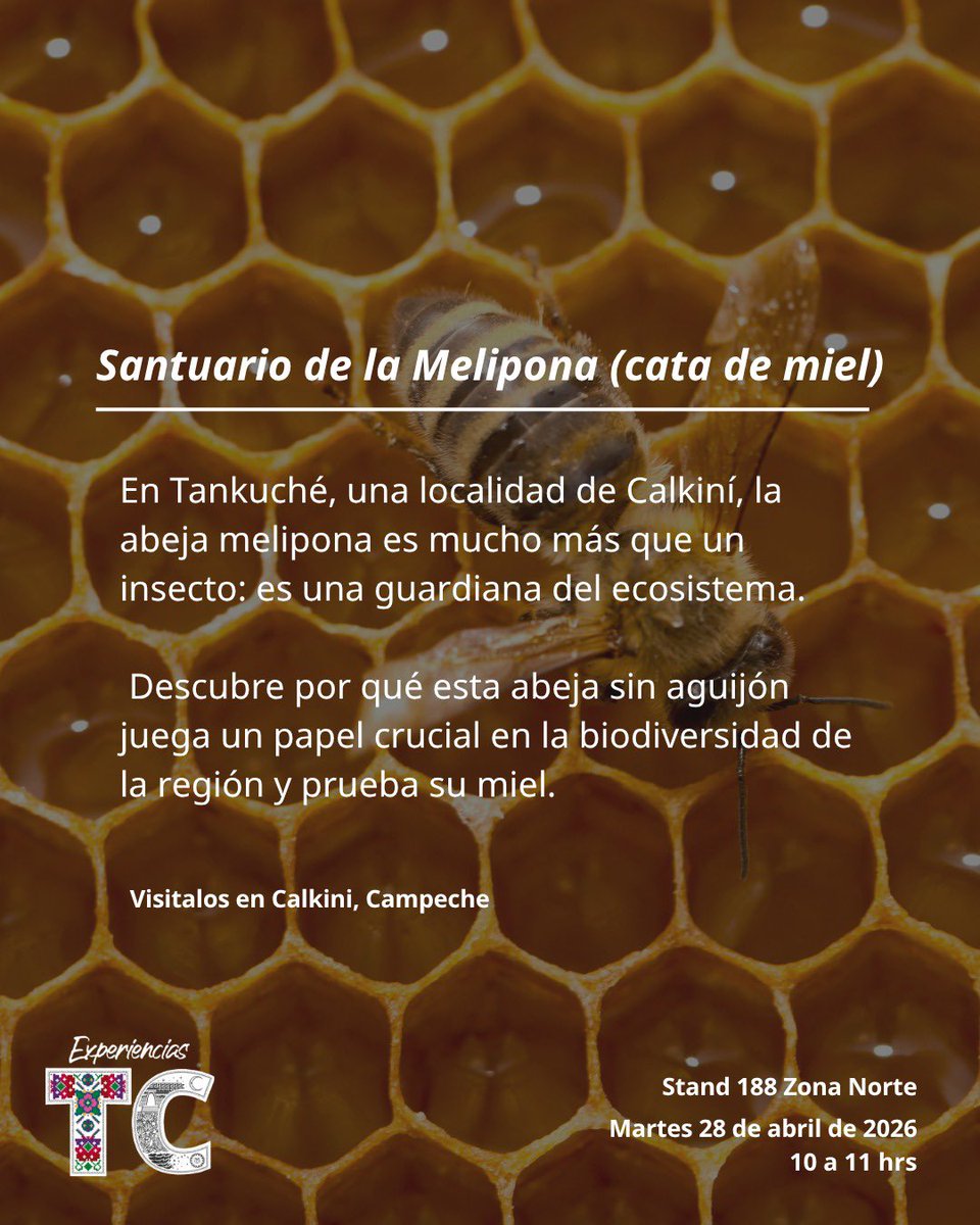 SECTUR México tweet media