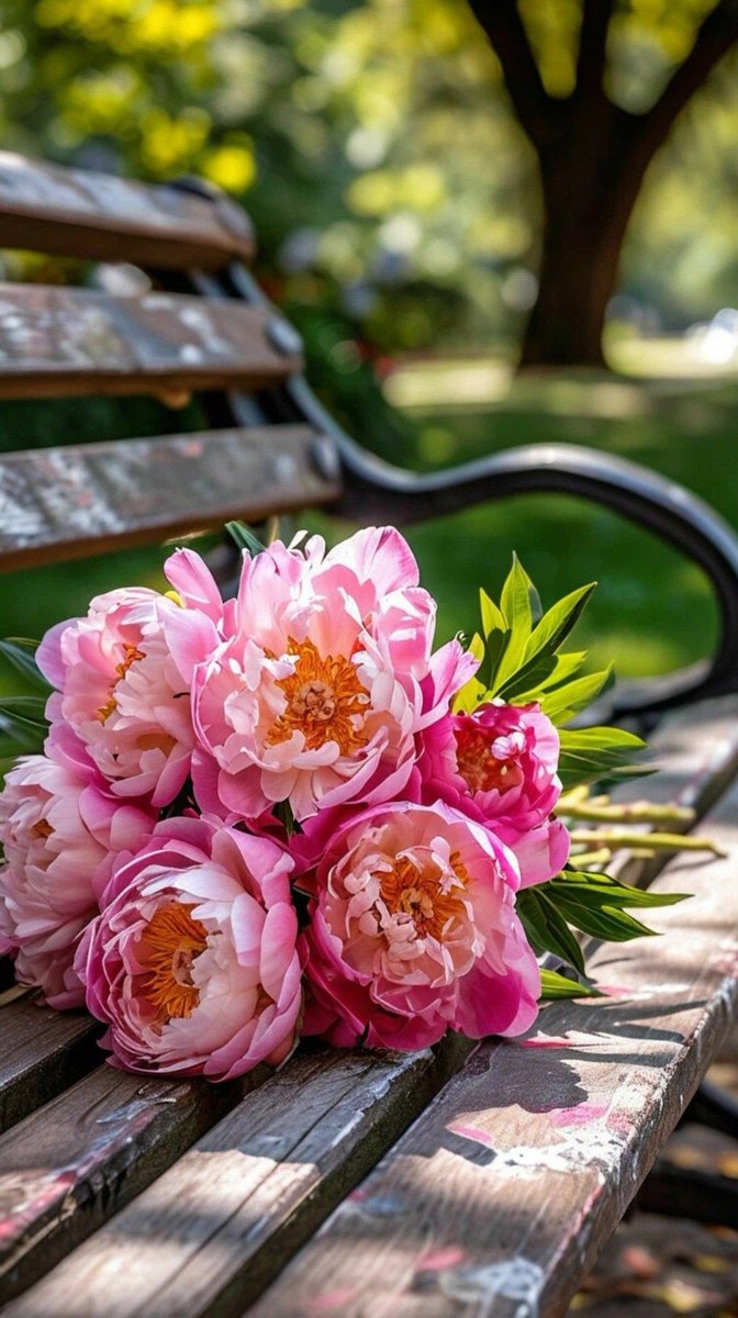 FLOWER 🌺 (@LUVO786) / Posts / X