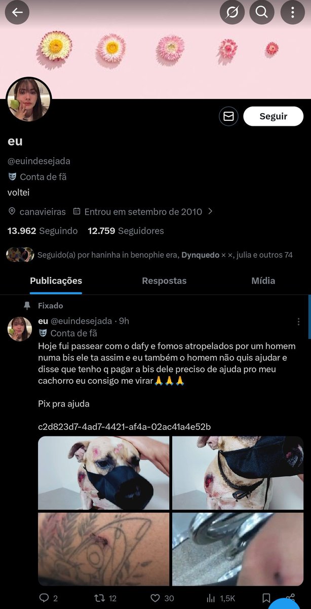 sophia tweet media