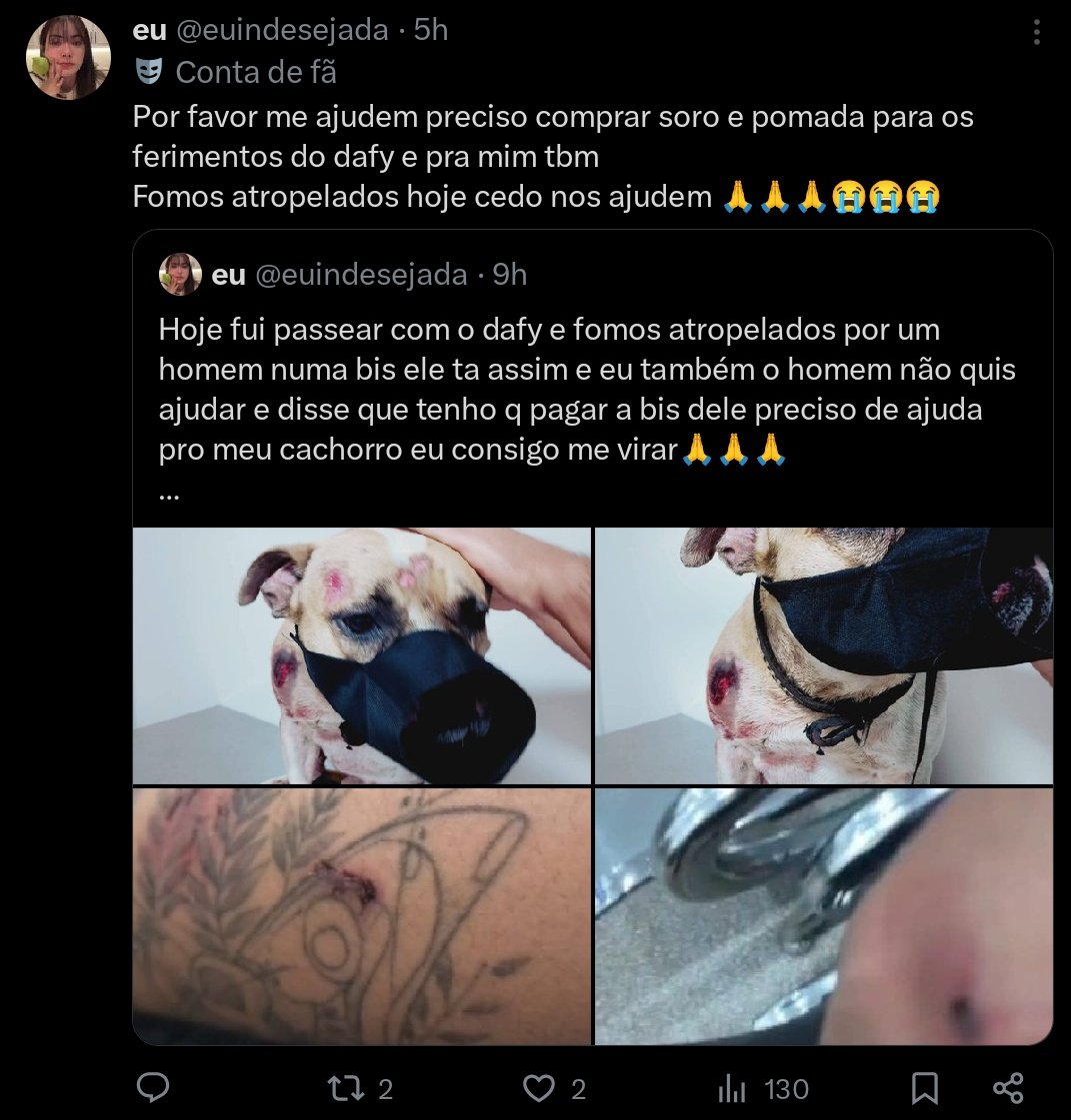 sophia tweet media