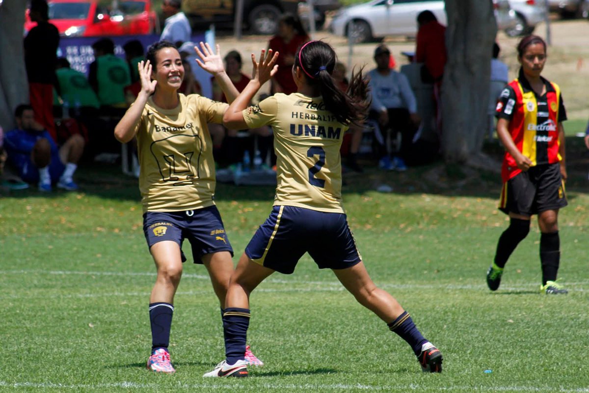 Imágenes de Chivas tweet media