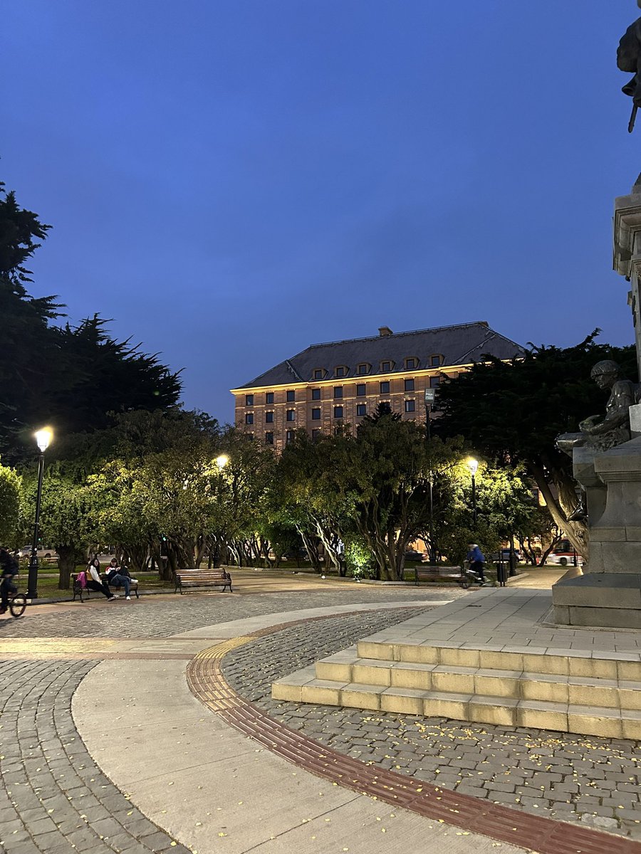 Pato Bonato tweet media