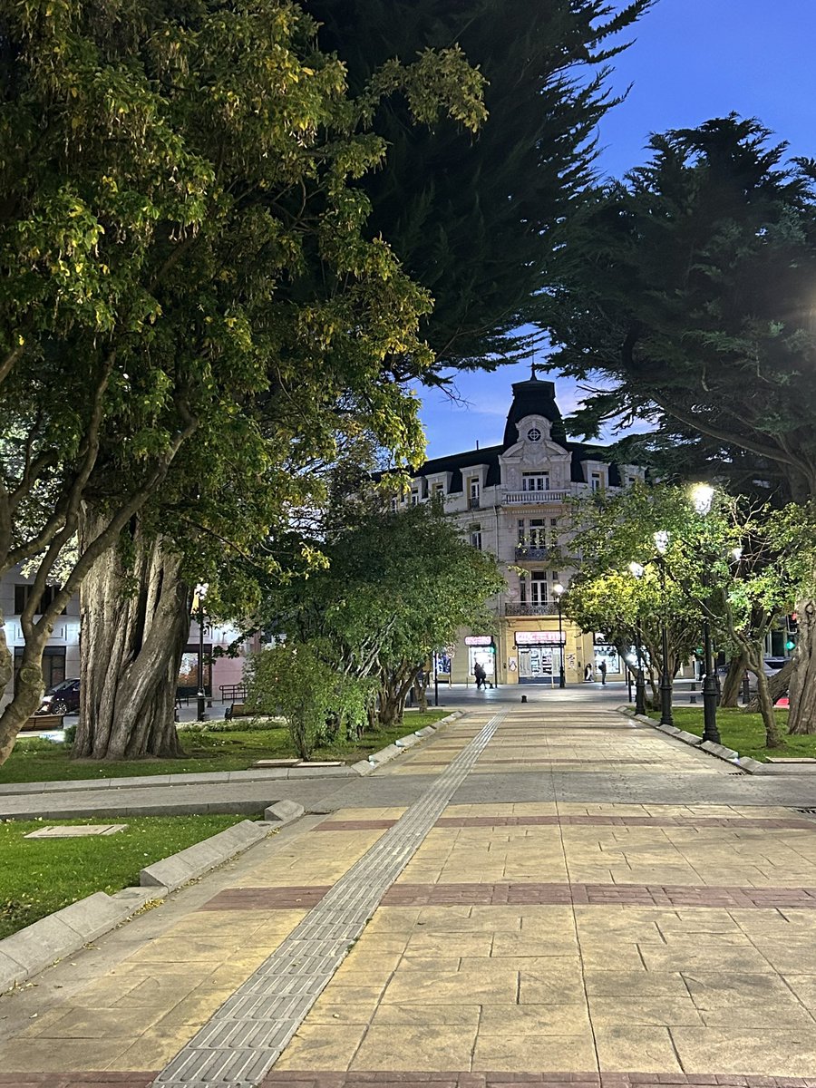 Pato Bonato tweet media