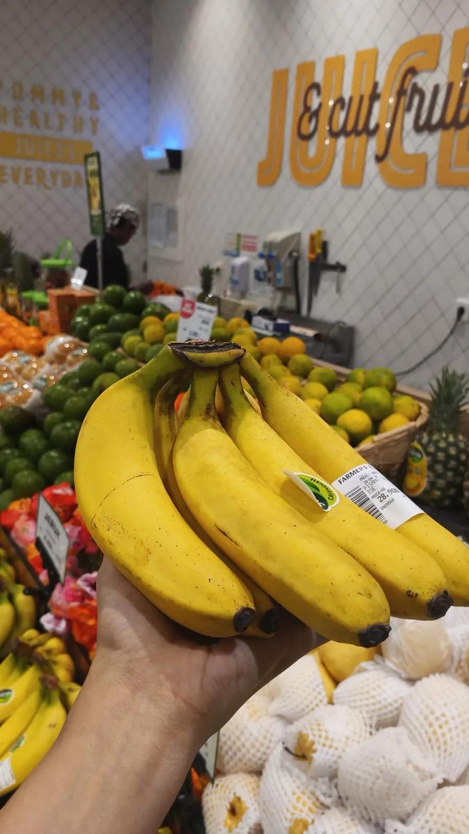 aril piterpen tweet media