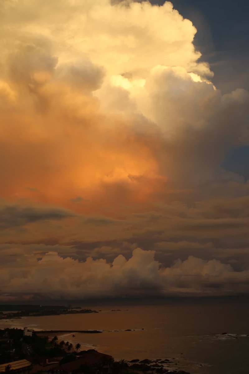 Mahishini Colonné tweet media