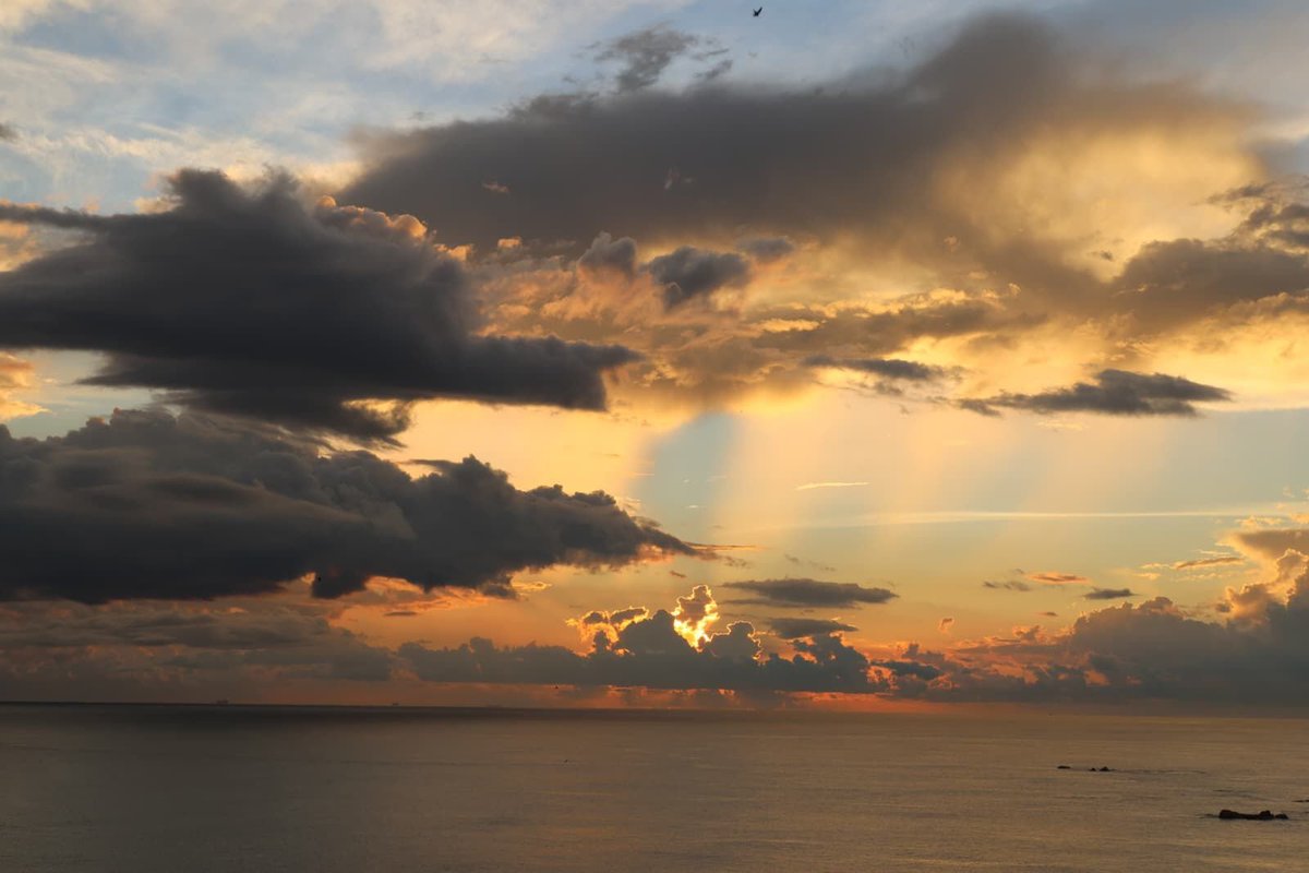 Mahishini Colonné tweet media