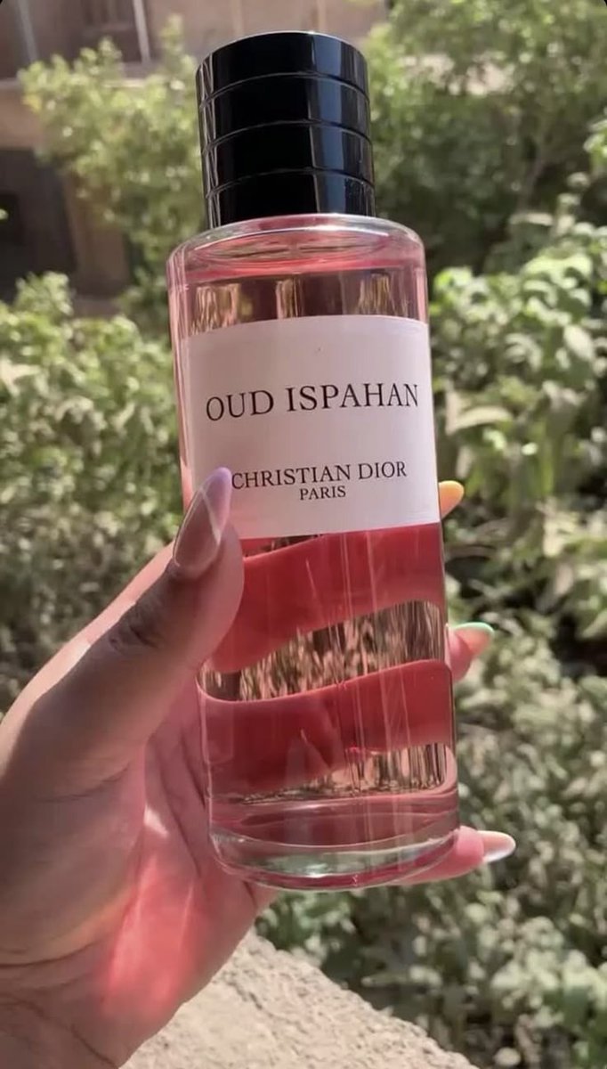 نـجـد | Najd tweet media