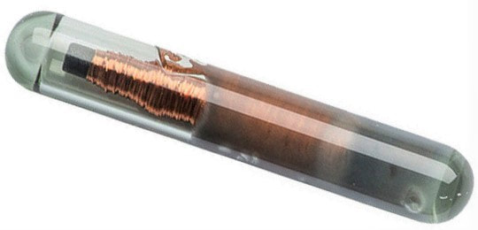 Security Researcher tweet media