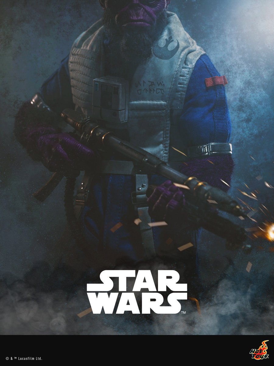 スター・ウォーズ』の世界は、さらに広がり続ける。 ホットトイズの1/6